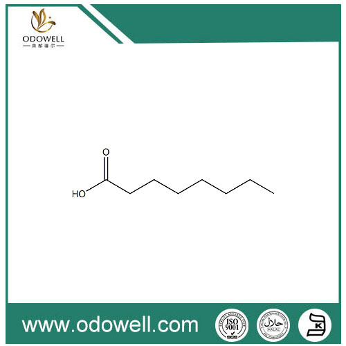 Asam Octanoat