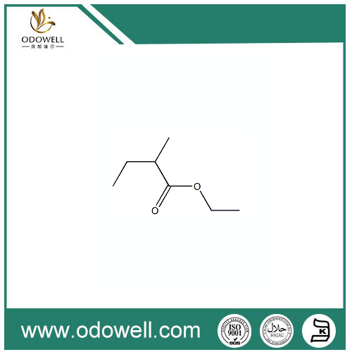 Etil Alami 2-Methylbutyrate