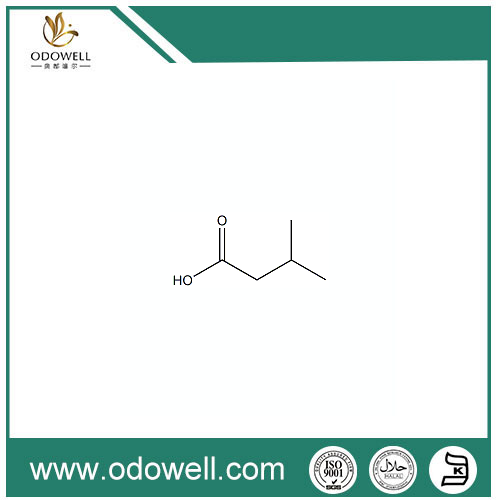 Asam Butyric 3-Methyl Alami