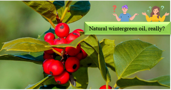 Minyak Wintergreen - Kepiye bahan sintetik bisa diidentifikasi lan diuji kanggo kealamian?