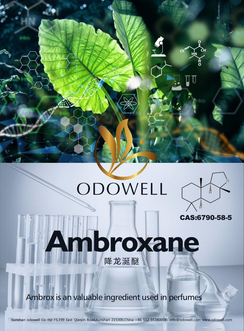 Odowell mengeti taun sukses kanggo ambroxane (Ambrox)