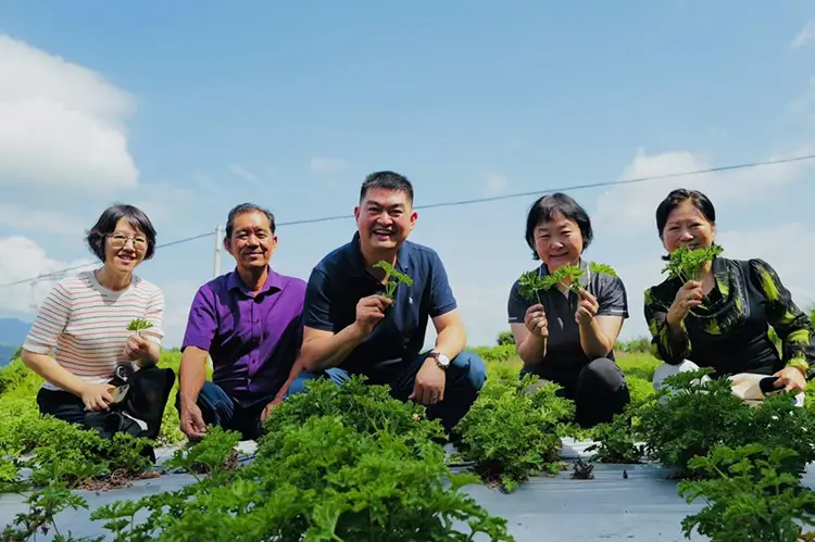 Wisata Yunnan Yunnan lan sinau ing Odowell ing tanggal 2025 Agustus