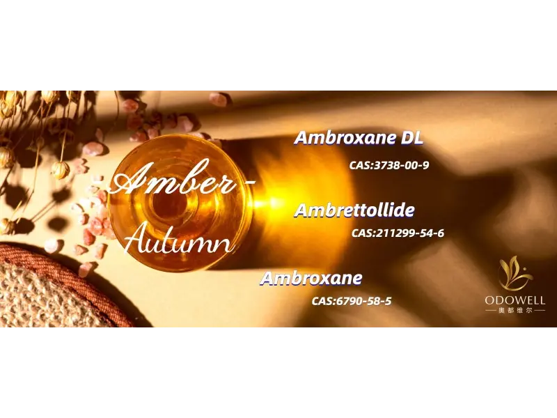 Apa sing dadi hutus netral sing paling apik kanggo 2025