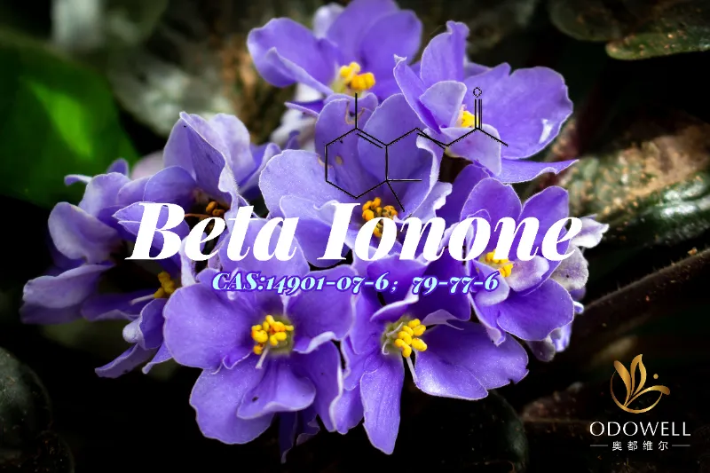 Beta Ionone - Keton Violet-Woody Klasik ODOWELL kanggo Kedalaman Wewangian Halus