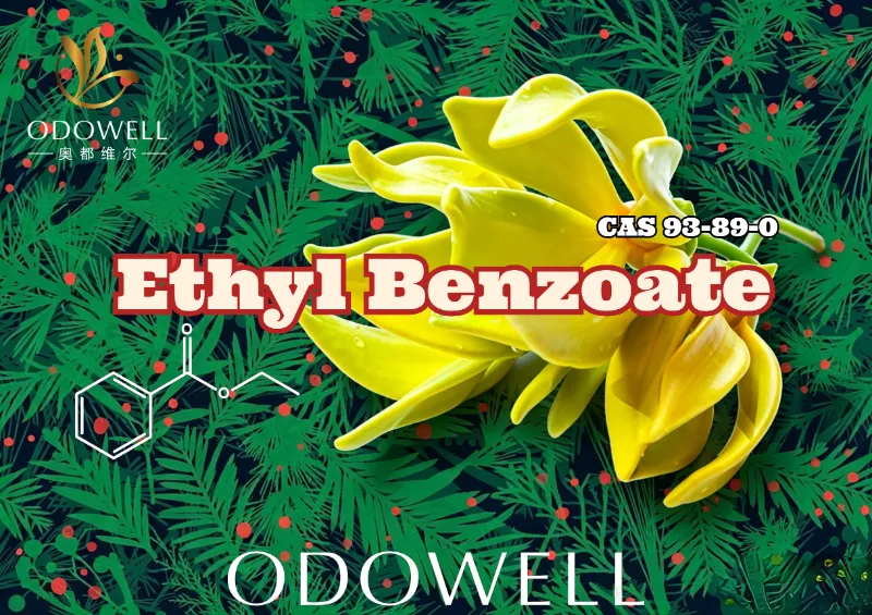 ODOWELL Ngluncurake Etil Benzoat: Ester Wintergreen-Ylang Anget kanggo Keanggunan Bunga lan Oriental