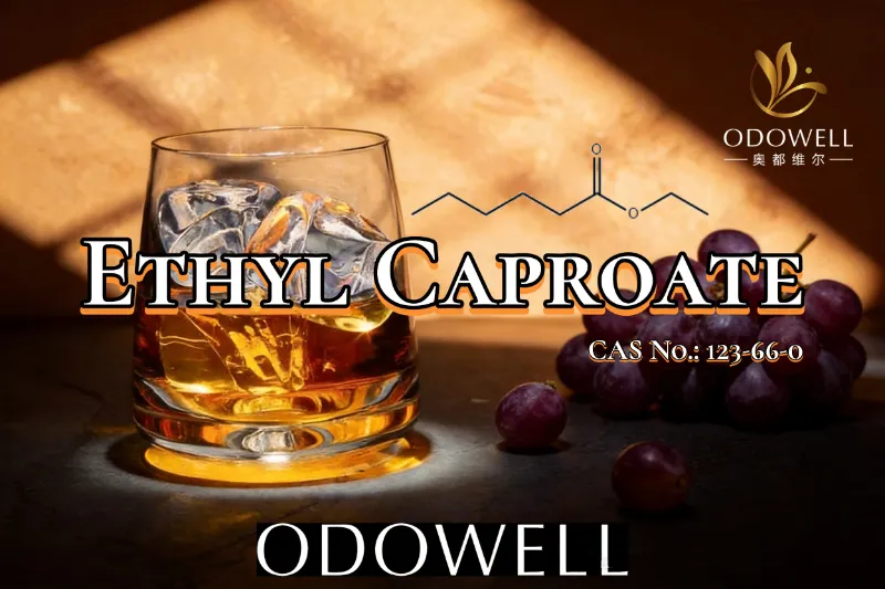 ODOWELL Nyaranake Etil Caproate kanggo Aplikasi Rasa Fruity lan Kaya Anggur