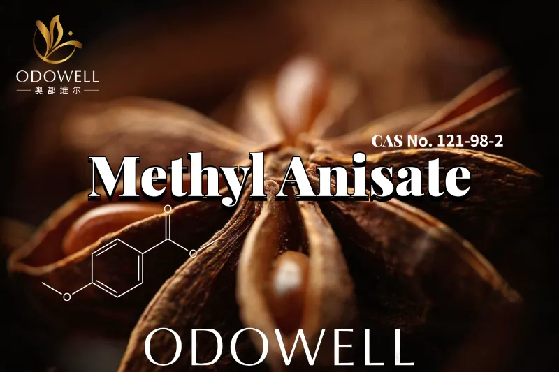 ODOWELL Rekomendasi Methyl Anisate kanggo Aplikasi Wewangian Manis Anisic lan Vanilla