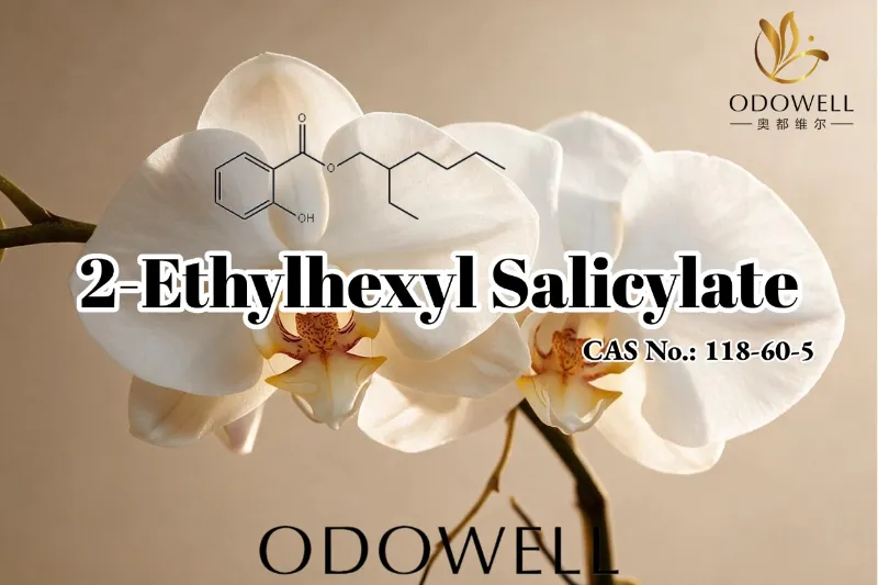 ODOWELL Nyaranake 2-Ethylhexyl Salicylate kanggo Aplikasi Wewangian, Kosmetik, lan Perawatan Pribadi
