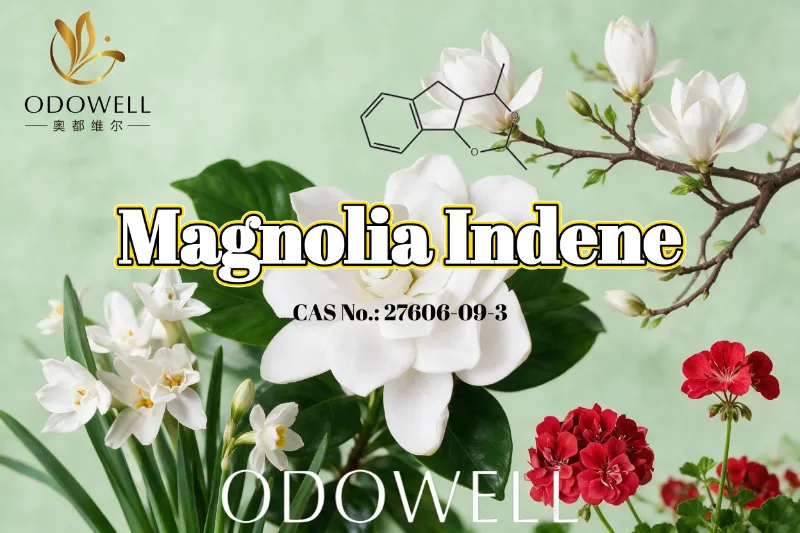 ODOWELL Rekomendasi Magnolia Indene kanggo Aplikasi Wewangian Bunga-Ijo lan Citrusy Segar